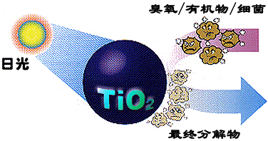 &#20048;&#31454;&#23448;&#32593;&#45;&#20048;&#31454;&#40;&#20013;&#22269;&#41;&#19968;&#31449;&#24335;&#20307;&#32946;&#26381;&#21153;