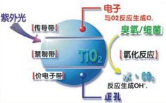 &#20048;&#31454;&#23448;&#32593;&#45;&#20048;&#31454;&#40;&#20013;&#22269;&#41;&#19968;&#31449;&#24335;&#20307;&#32946;&#26381;&#21153;
